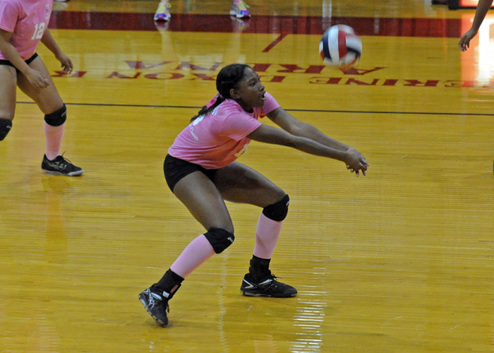 Lady Hawks fall in pair of conference matches