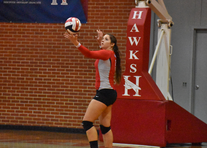 Hawks fall to LaGrange in conference tournament