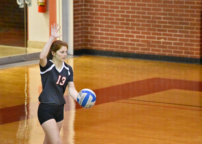 Lexie DeVuyst, shown here earlier this season, led the Hawks with six digs.