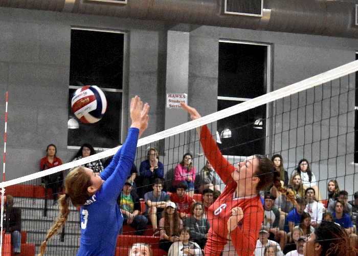Addison Genard had seven kills and three blocks in Tuesday's win in the USA South Tournament quarterfinals.