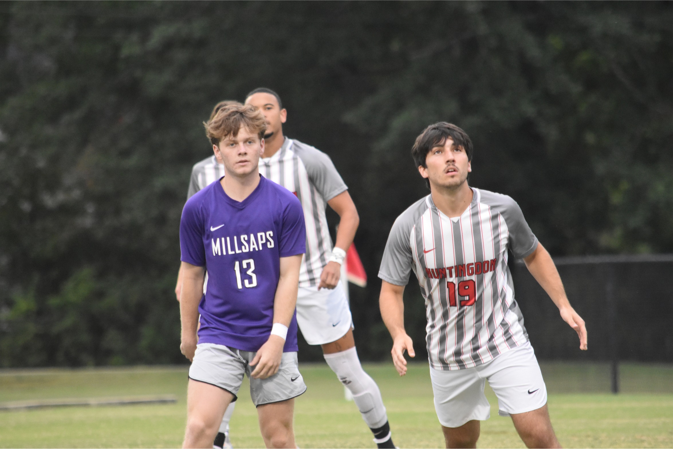 Hawks Fall To The Majors Of Millsaps College