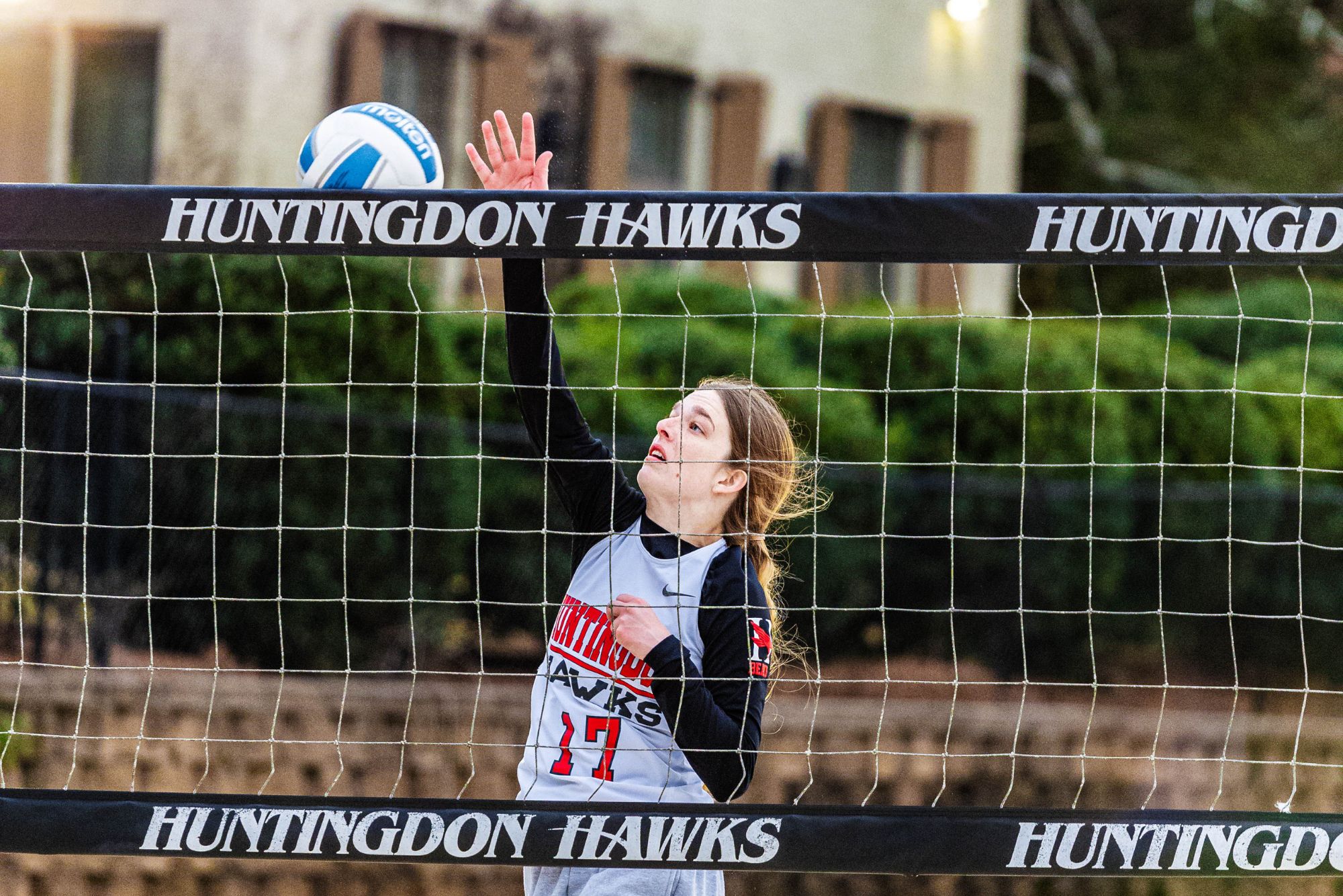 Hawks Take Down Nicholls State In First Victory Of 2025 Season